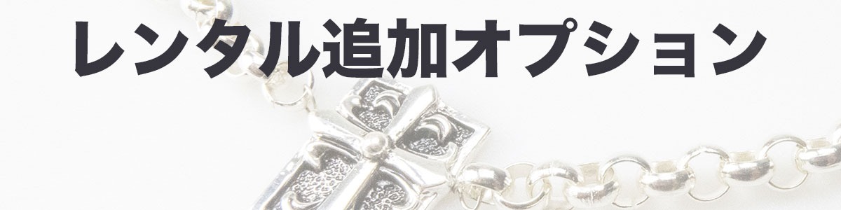 追加オプション